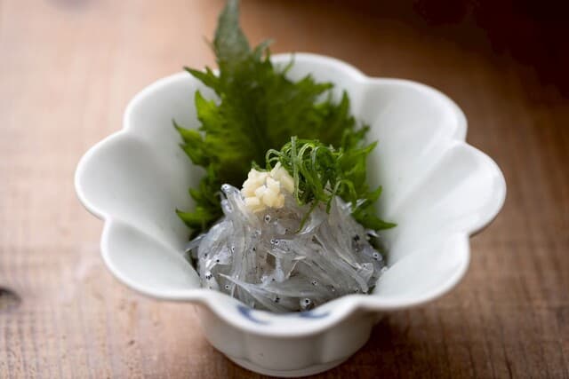 土佐みょうじん6